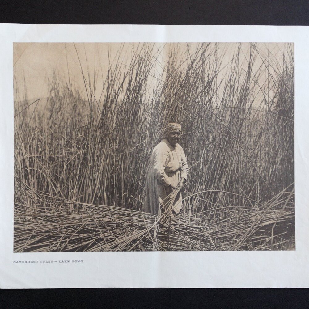 GATHERING TULES - LAKE POMO #150 Edward Sheriff Curtis Print